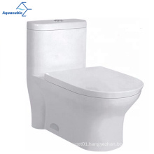 Aquacubic Popular Dual Flushing Sanitary Ware UPC One Piece Toilet